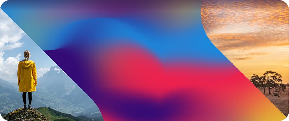 banner image