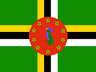 DM flag