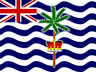 IO flag