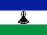 LS flag