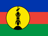 NC flag