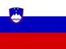 SI flag