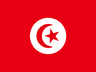 TN flag