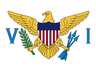 VI flag