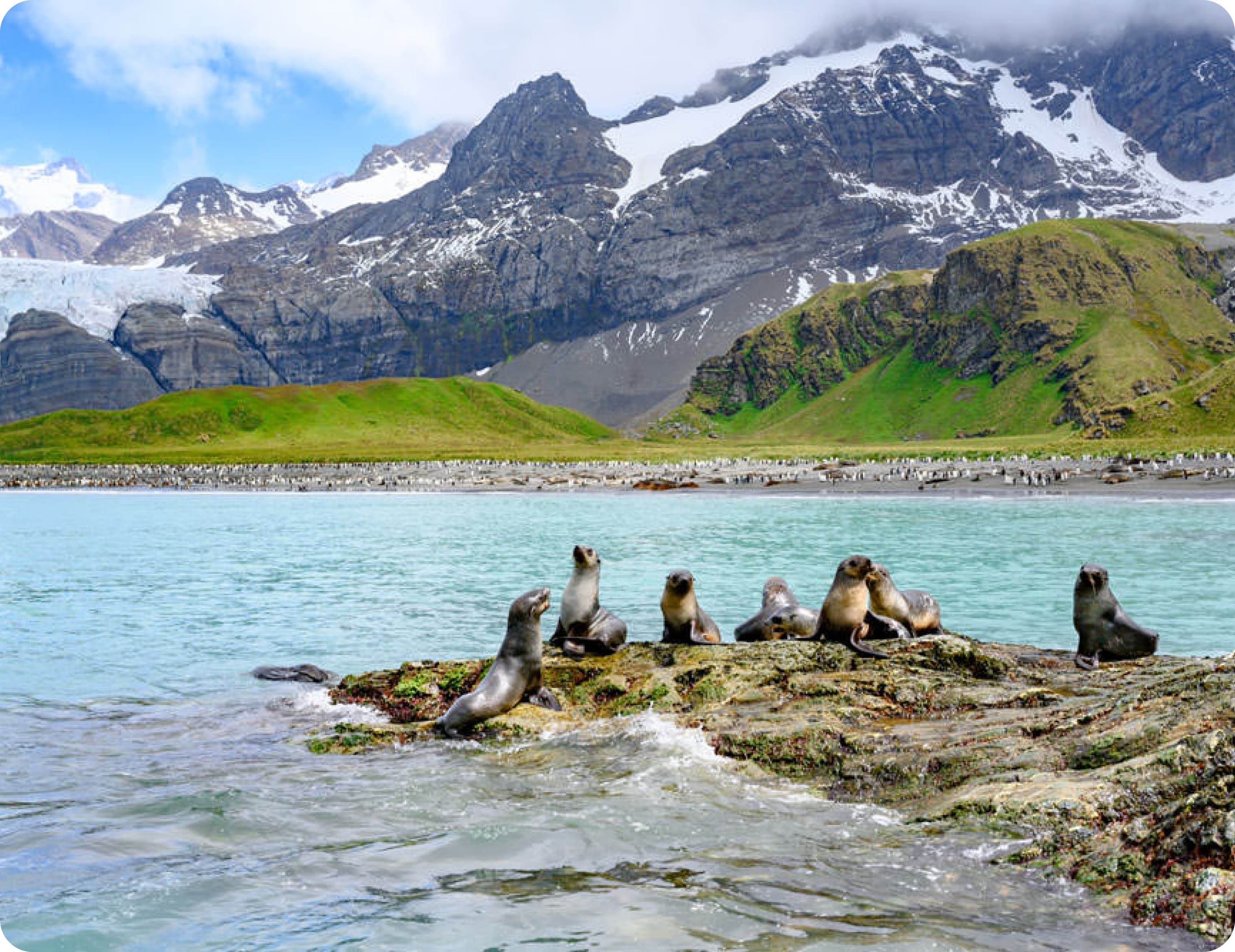 Mobile internet esim South Georgia and the South Sandwich Islands