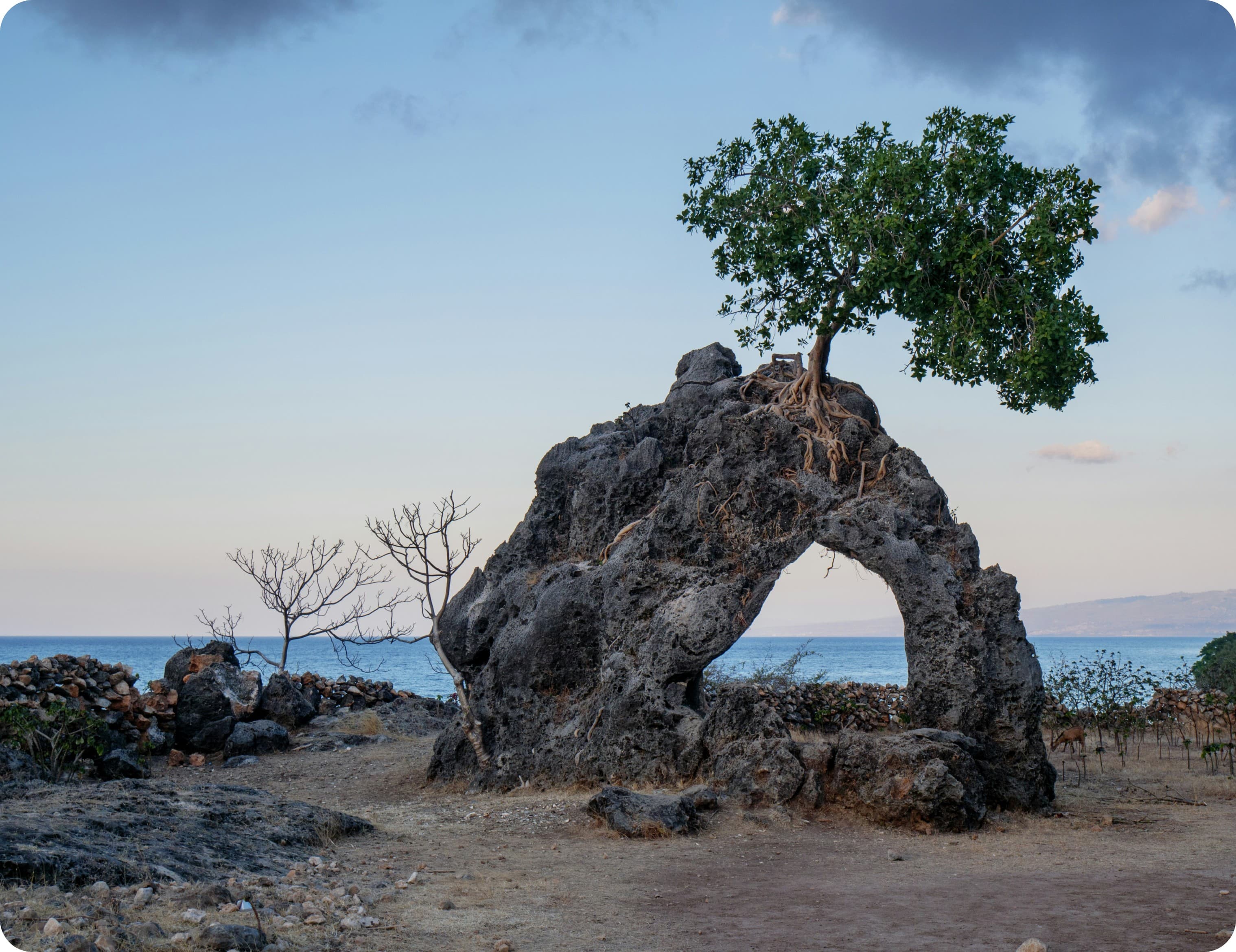 Mobile internet esim Timor-Leste