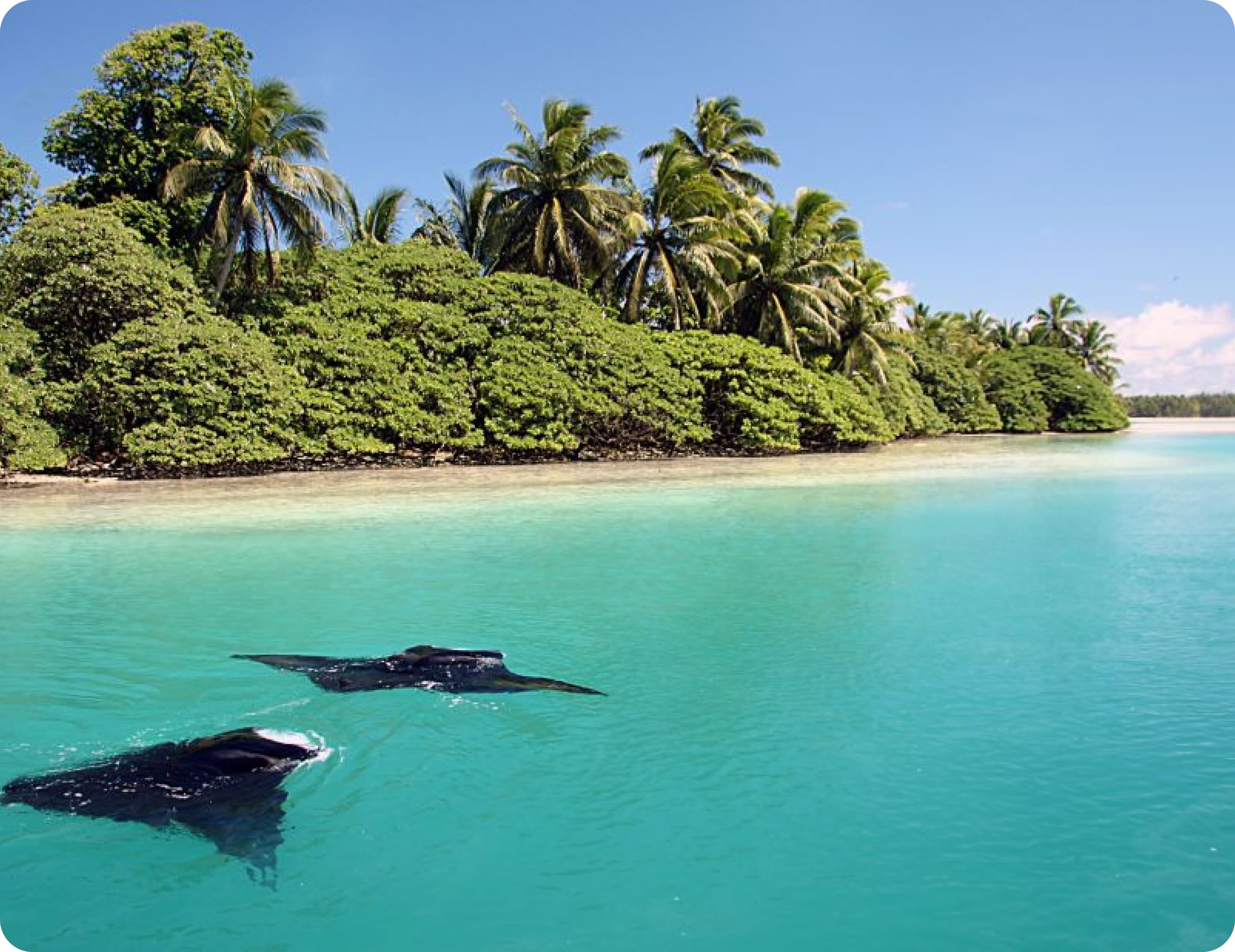 Mobile internet esim United States Minor Outlying Islands