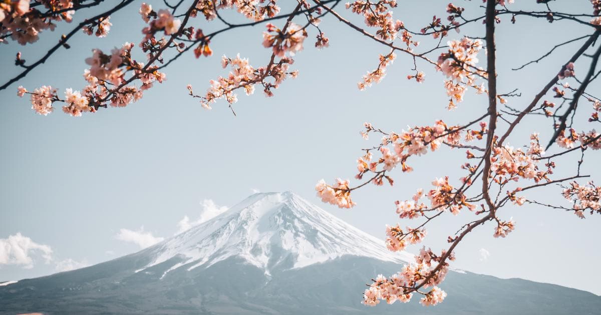 Introducing the updated Internet plans for Japan.