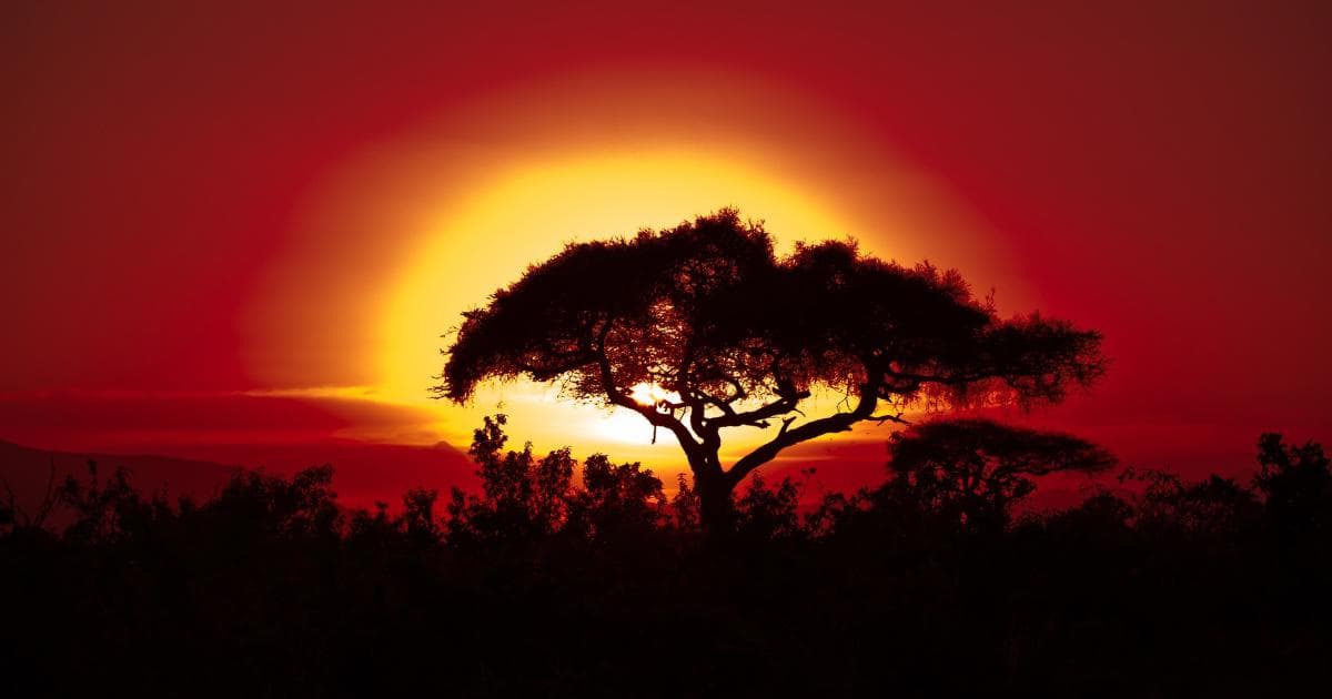 South Africa: Ocean, Safari, Open Roads and Telwel eSIM